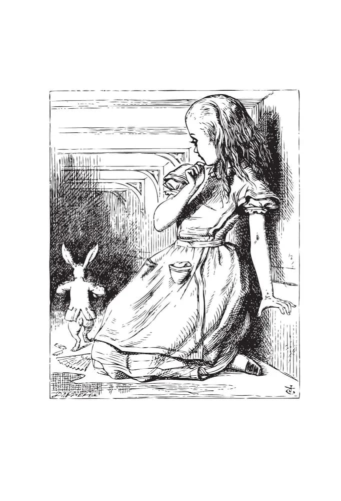 Alice s Adventures in Wonderland. A2 | Кэрролл Льюис - 3